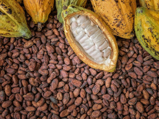 Cacao/Kg